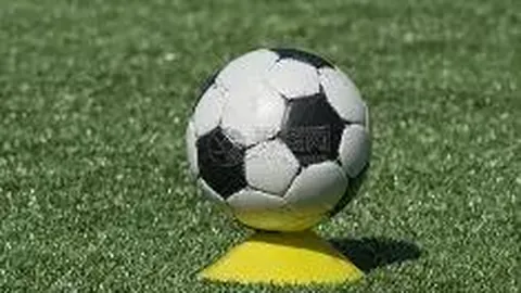 古巨基携全家出行，保姆团阵容庞大引关注